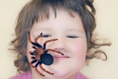 Schranka-_10-29-2025_25