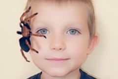 Schranka-_10-29-2025_27