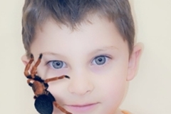 Schranka-_10-29-2025_28