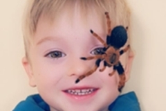 Schranka-_10-29-2025_29