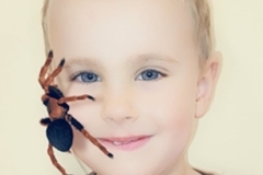 Schranka-_10-29-2025_31