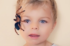 Schranka-_10-29-2025_32