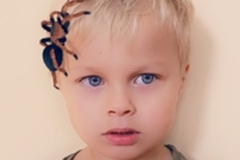 Schranka-_10-29-2025_35