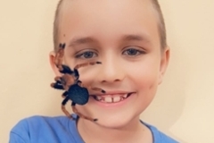 Schranka-_10-30-2025_01