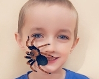 Schranka-_10-30-2025_03