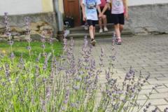 IMG_20250625_1748091