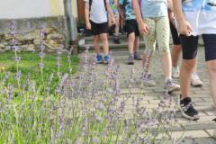 IMG_20250625_1748141