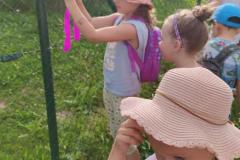 IMG_20250625_1755551