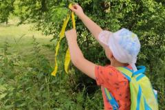 IMG_20250625_1804171