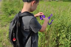 IMG_20250625_1805251