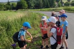 IMG_20250625_1807021