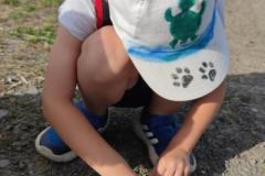 IMG_20250625_1810031