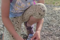 IMG_20250625_1810081