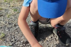 IMG_20250625_1812591