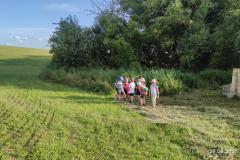 IMG_20250625_1912521