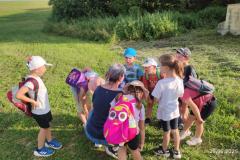 IMG_20250625_1913161