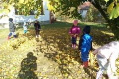 IMG_20181022_101707