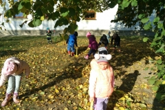 IMG_20181022_101715