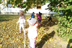 IMG_20181022_101719