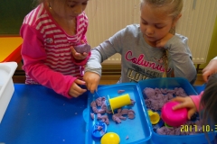 SAM_1062