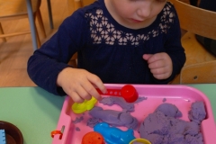 SAM_1064