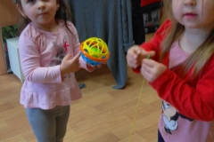 SAM_1066