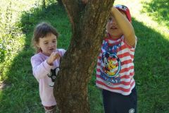 IMG_20200909_104321