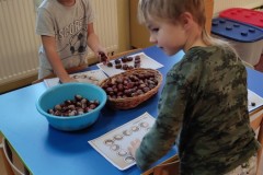IMG_20221006_080125