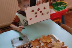IMG_20221006_083500