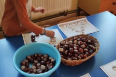 IMG_20221006_083505