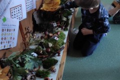 IMG_20221006_094248