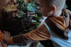 IMG_20221006_094300