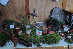 IMG_20221006_094420