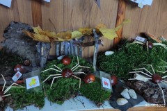 IMG_20221006_094422