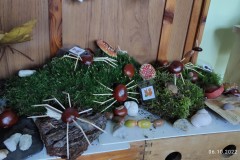 IMG_20221006_094426