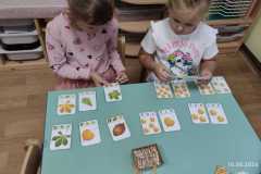 IMG-20240920-WA0002