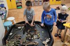 IMG-20240920-WA0027
