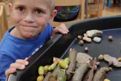IMG-20240920-WA0029