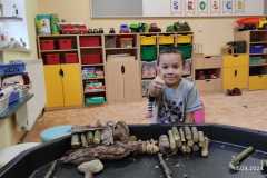 IMG-20240920-WA0030