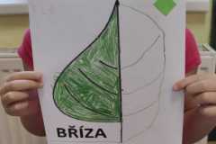 IMG-20240920-WA0042