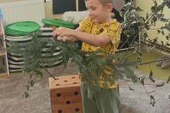 IMG_20240916_100111