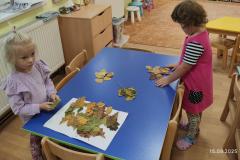 IMG_20250915_072100