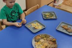 IMG_20250915_074100