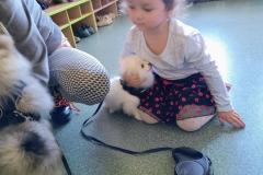 IMG_20250919_114818495_AE