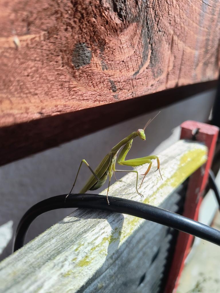 IMG_20260915_102344777_HDR_AE