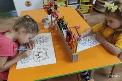 IMG_20260916_073047