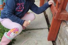IMG_20260917_110740