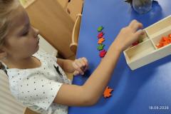 IMG_20260918_064339
