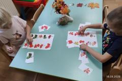 IMG_20260918_072455
