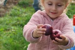 IMG_20260918_100457
